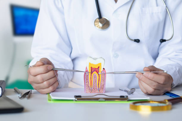 Best Pediatric Emergency Dentist in El Jon, CA